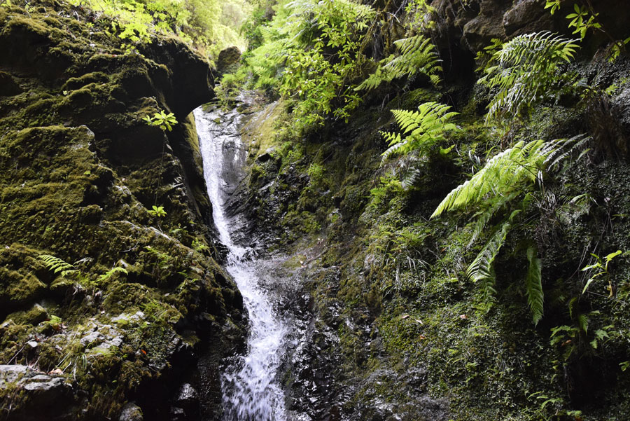 levada do caldeirao verde