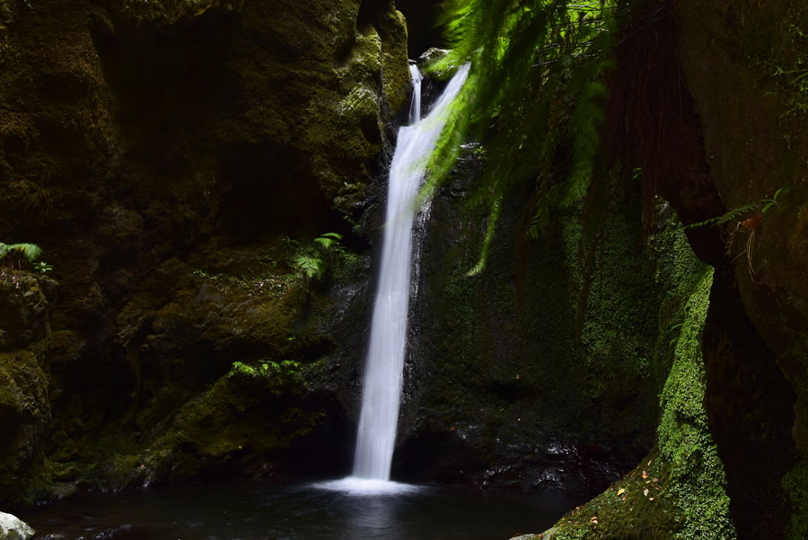 cascata a madeira